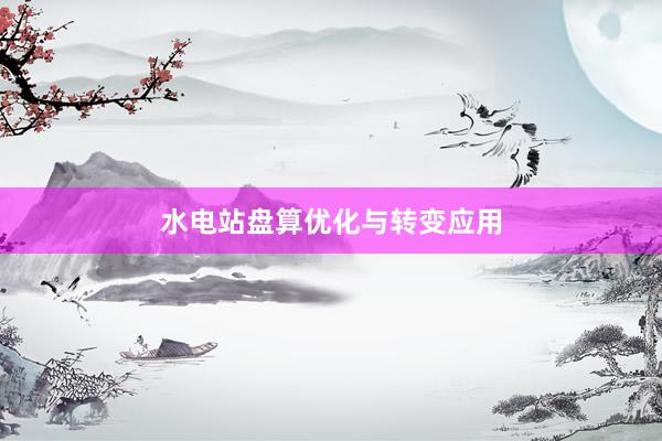 水电站盘算优化与转变应用