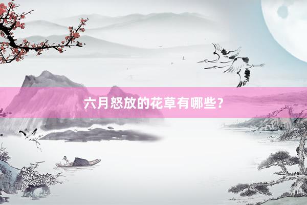 六月怒放的花草有哪些？