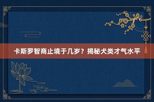 卡斯罗智商止境于几岁？揭秘犬类才气水平