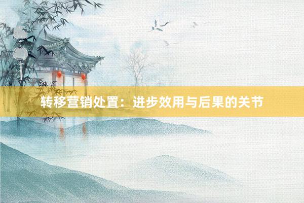 转移营销处置：进步效用与后果的关节
